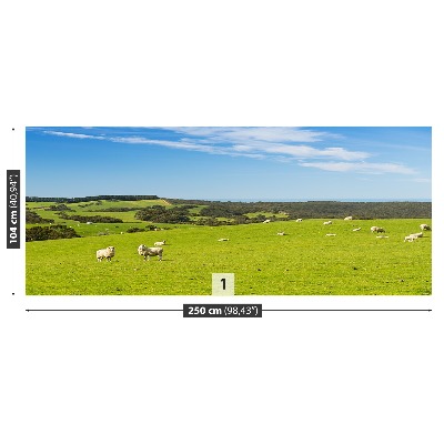 Wallpaper Sheep field