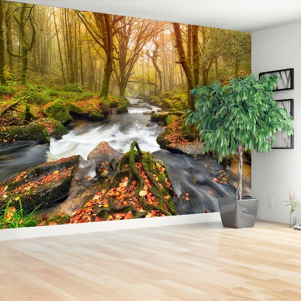 Wallpaper Forest river