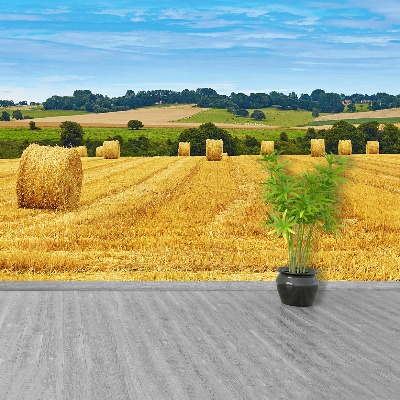 Wallpaper Hay bales