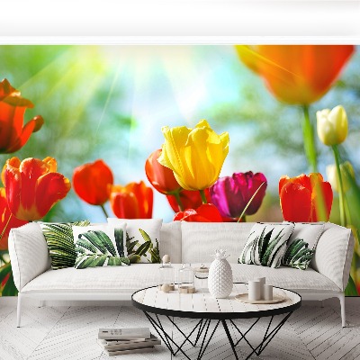 Wallpaper Flowers of tulips