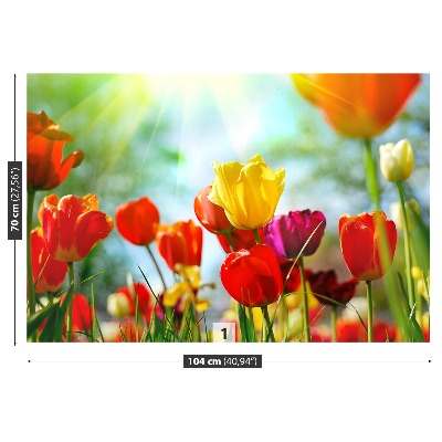 Wallpaper Flowers of tulips