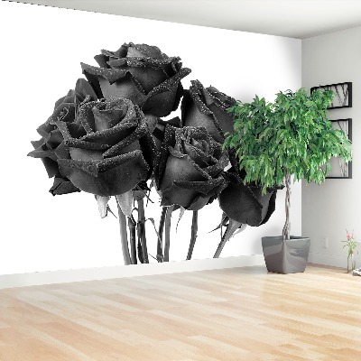 Wallpaper Black roses