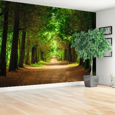 Wallpaper Tree path