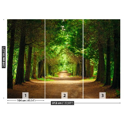 Wallpaper Tree path
