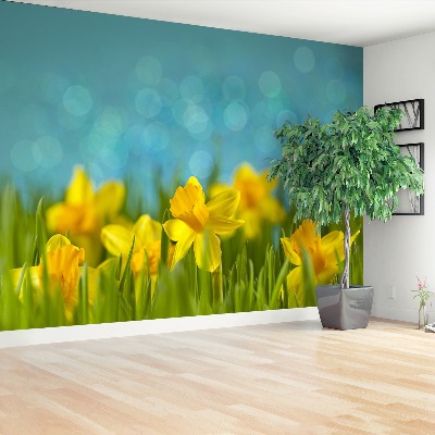 Wallpaper Daffodils