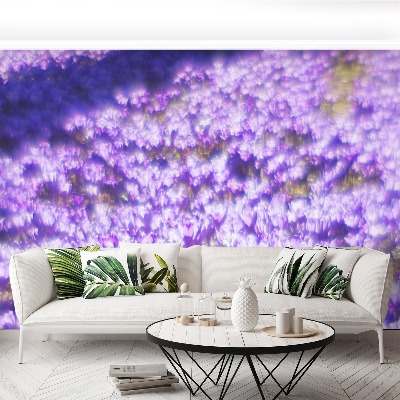 Wallpaper Violet flowers