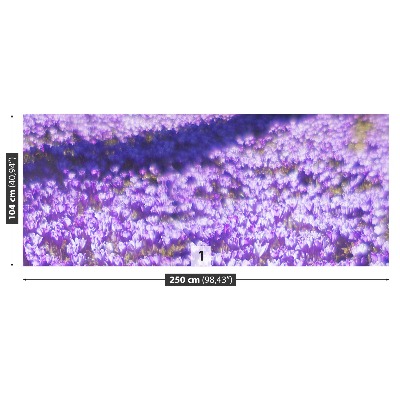 Wallpaper Violet flowers