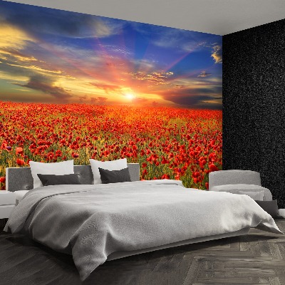 Wallpaper Field of poppies