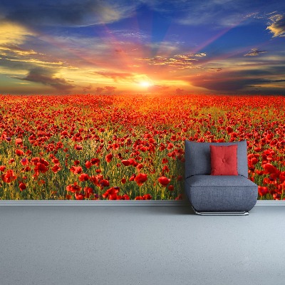 Wallpaper Field of poppies