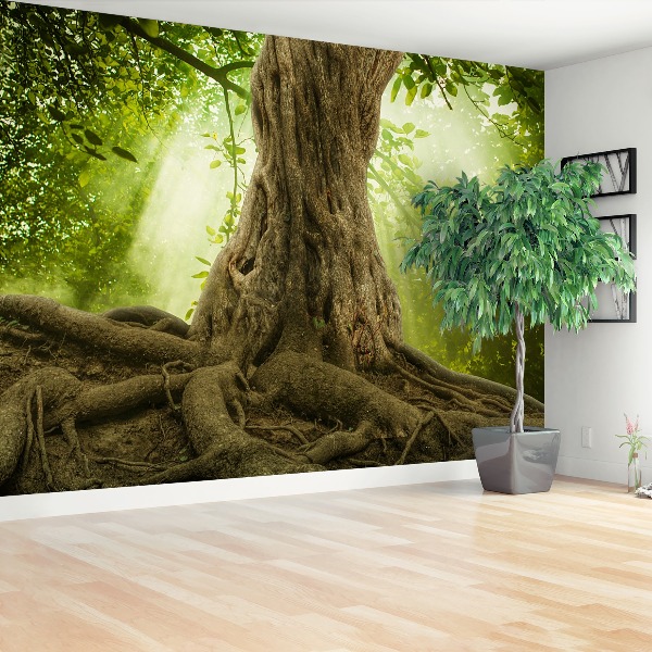 Wallpaper Big tree roots