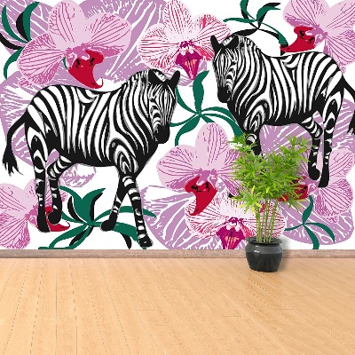 Wallpaper Zebras orchid flower