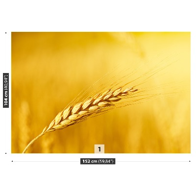 Wallpaper Ear of wheat