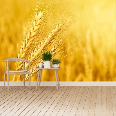 Wallpaper Ear of wheat