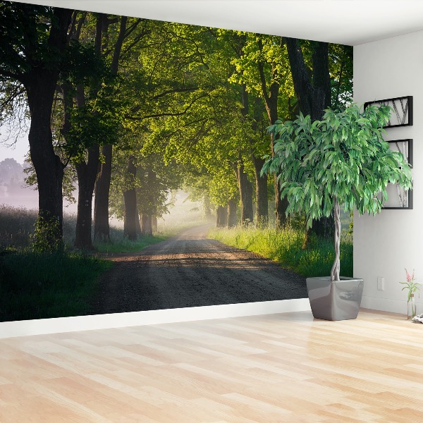 Wallpaper Avenue of trees