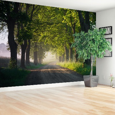 Wallpaper Avenue of trees