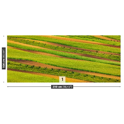 Wallpaper Field ribbons