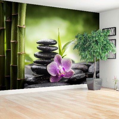 Wallpaper Orchid zen