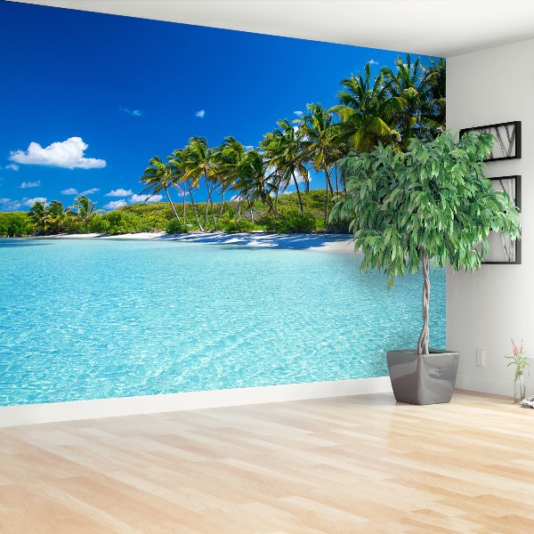 Wallpaper Beach palm trees