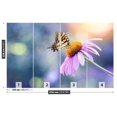 Wallpaper Echinacea butterfly