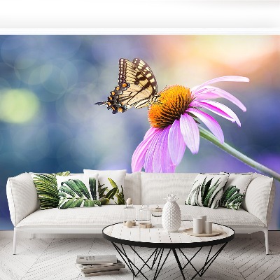 Wallpaper Echinacea butterfly