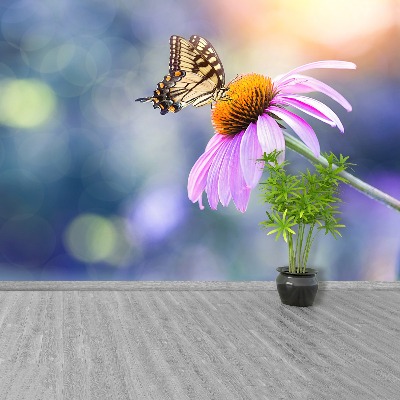 Wallpaper Echinacea butterfly