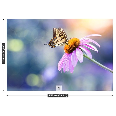 Wallpaper Echinacea butterfly