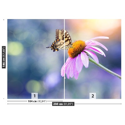 Wallpaper Echinacea butterfly