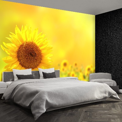 Wallpaper Yellow sunflowers