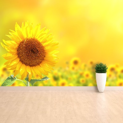 Wallpaper Yellow sunflowers