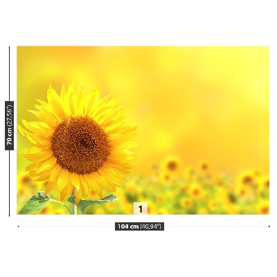 Wallpaper Yellow sunflowers