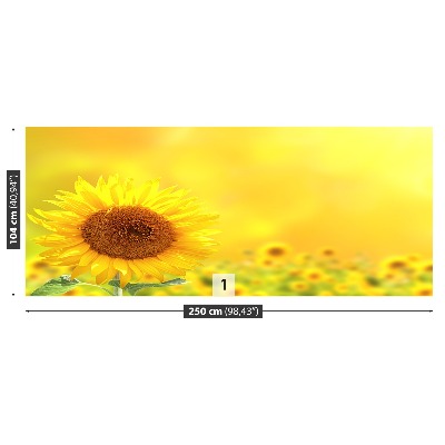 Wallpaper Yellow sunflowers