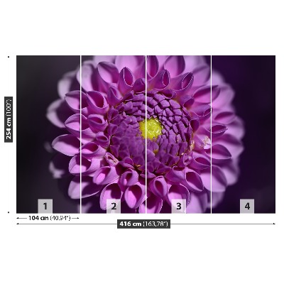 Wallpaper Dahlia pink