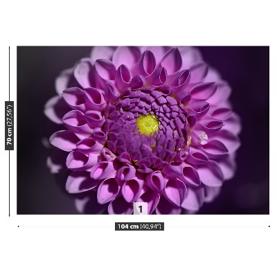 Wallpaper Dahlia pink