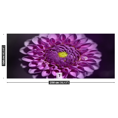 Wallpaper Dahlia pink