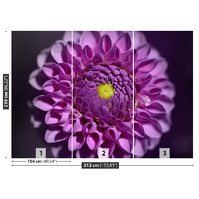 Wallpaper Dahlia pink