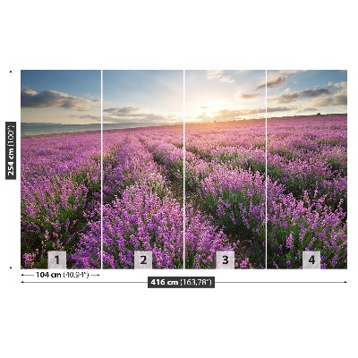 Wallpaper Lavender meadow