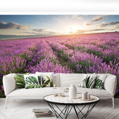 Wallpaper Lavender meadow