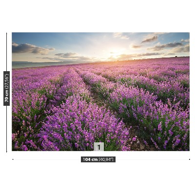 Wallpaper Lavender meadow