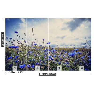 Wallpaper Cornflowers