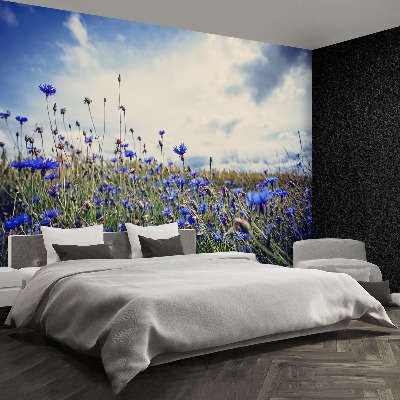 Wallpaper Cornflowers