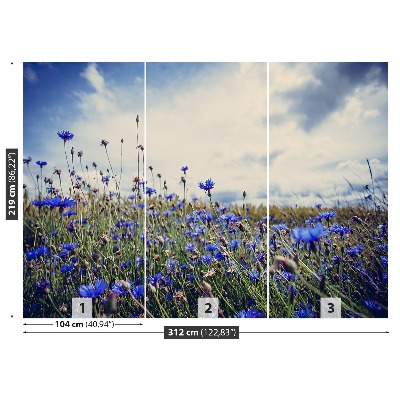 Wallpaper Cornflowers