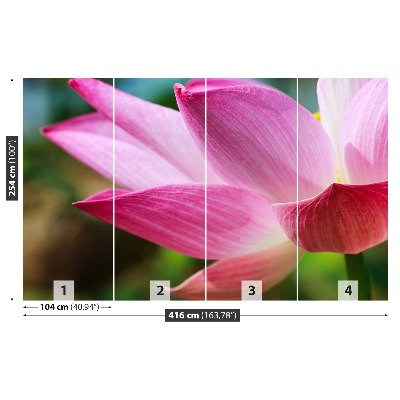 Wallpaper Pink lotus