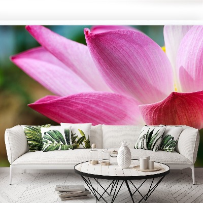 Wallpaper Pink lotus