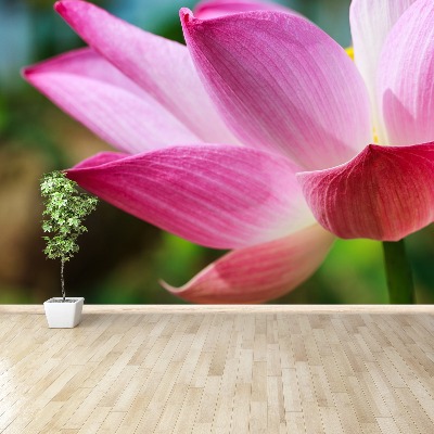 Wallpaper Pink lotus