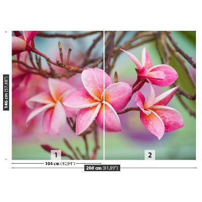 Wallpaper Frangipani pink