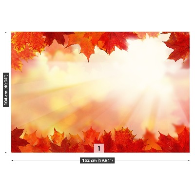 Wallpaper Maple leaves