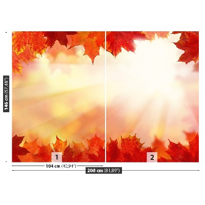 Wallpaper Maple leaves