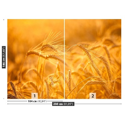 Wallpaper Wheat field