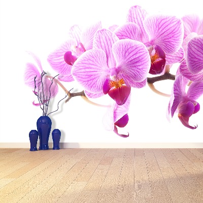 Wallpaper Pink orchid