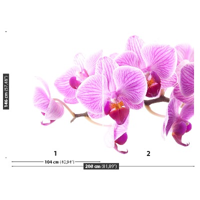 Wallpaper Pink orchid